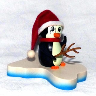PINGUIN Nichtschwimmer NEU Erzgebirge Tiere Eis Schnee Winter Sport Luftmatraze 