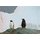 Eselspinguine 1